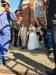 Hochzeit von Steven und Ellen