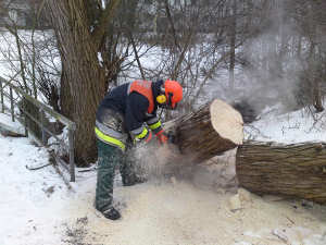 Einsatz der Motorkettens�ge. &copy; F2946