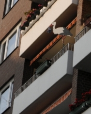 Finn Luca's Storch auf dem Balkon von seinen Eltern.