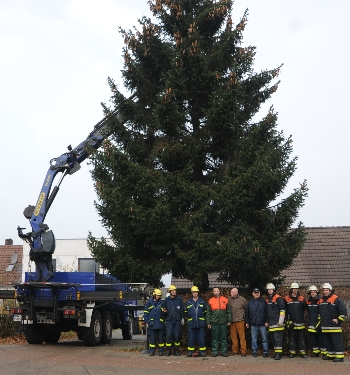 Dieser Tannenbaum wurde fr den Billstedter MArktplatz gefllt.